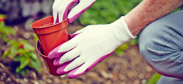 gloves_header